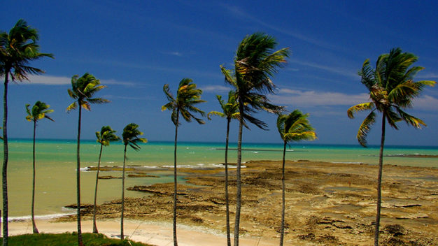 Praia do Moreira