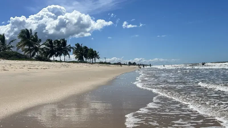 Viajar em Família para Prado_ Descubra o Encanto do Sul da Bahia